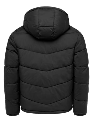 Winterjacke VALLEJO in Schwarz
