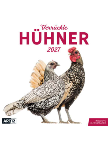 Kalender - Verrückte Hühner Kalender 2027 - 30x30 - Art12