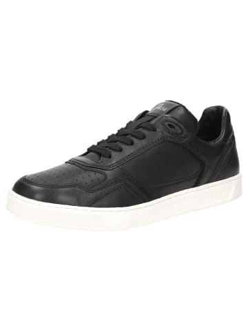 Sneaker Tedroso-704 in schwarz