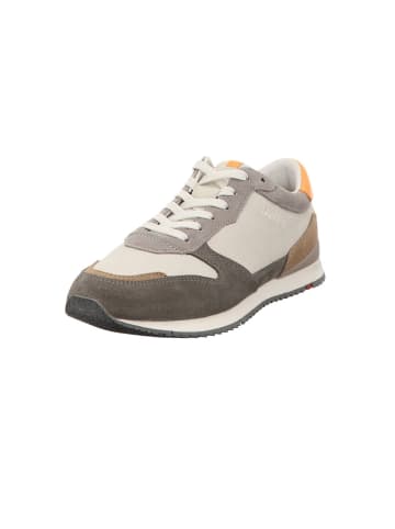 Lowtop-Sneaker in GREY/POLVERE/ORANGE