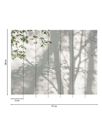 Tapete The Wall 3 Shadow forest Grün