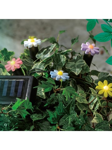 LED Solar Lichterkette Blumen 5 Beetstecker Gartenstecker H: 17cm in bunt