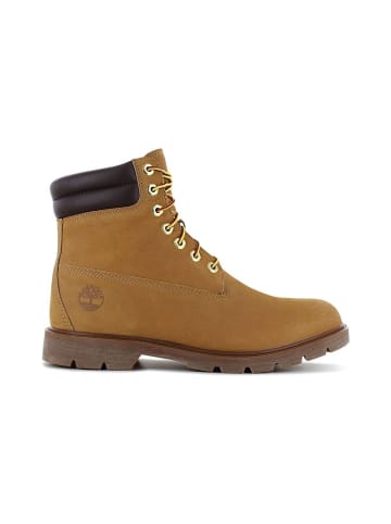 Stiefel 6 in Basic  in braun