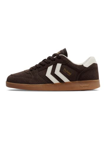 Schnürsenkel Sneaker Handball Perfekt Lebensstil Erwachsene in CHESTNUT