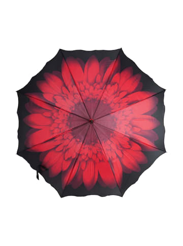 Elegante Stockschirme mit Blumenmuster Stabil, Windfest und Stilvoll in Motiv 4