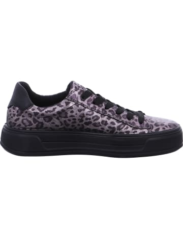 Sneaker  in Braun