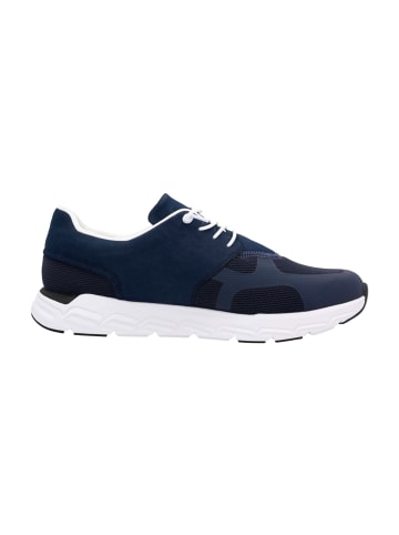 Sneaker Low in Blau