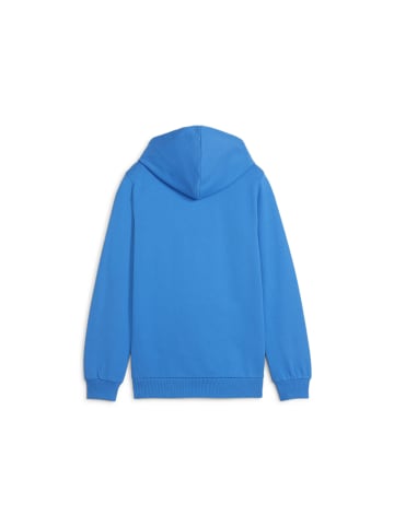 Sweatshirt teamGOAL Casuals Hoody Jr in blau