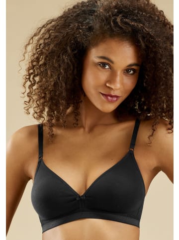 Bralette-BH in 1xtoffee+1xschwarz+1xweiß