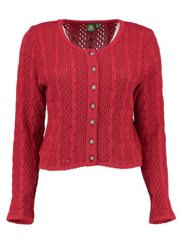 Strickjacke Gnoyor in mittelrot