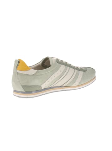 Sneaker low Tifo-046 in Grün