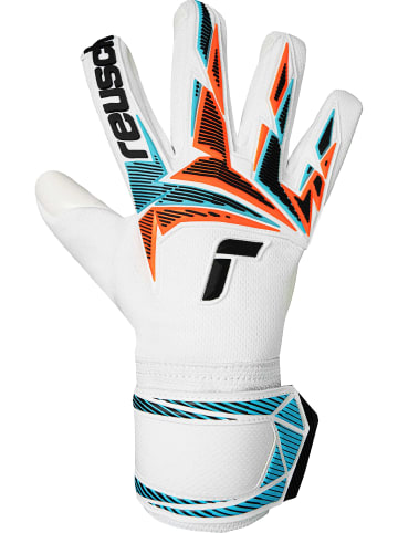 Torwarthandschuhe Attrakt Freegel Advance in 1080 white/light blue