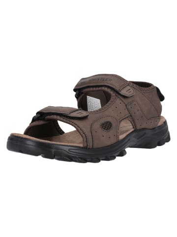 Sandale Hornsin in 8885 Various Brown