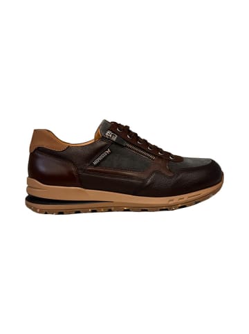 SHOES "Bradley" in DARK BROWN