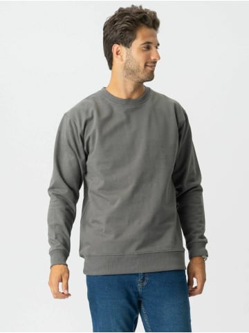 Pullover Sweatshirt in Dark Grey