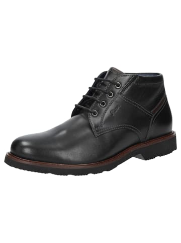 Stiefelette Dilip-718-H in schwarz