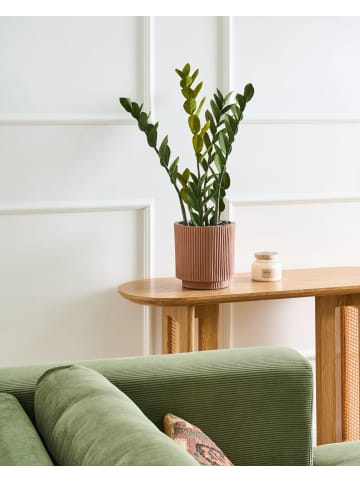 Kunstpflanze ZAMIIFOLIA in Grün/Schwarz - (W) 33 x (H) 76 x (L) 33 cm