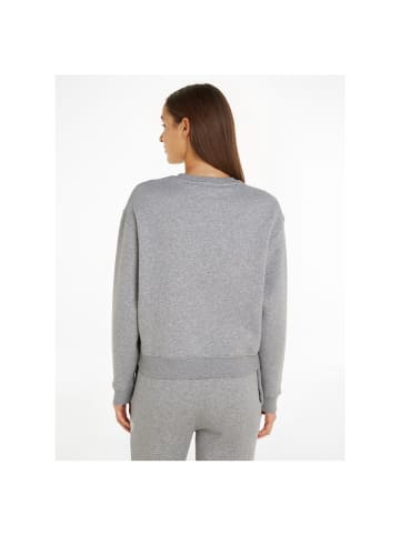 Sweatshirt in light grey htr