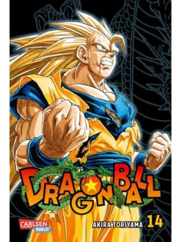 Buch - Dragon Ball Massiv