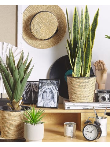 Kunstpflanze SNAKE PLANT in Grün/Schwarz - (W) 15 x (H) 63 x (L) 15 cm