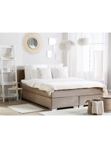 4-tlg Boxspring Bett CONSUL in Beige/Silber