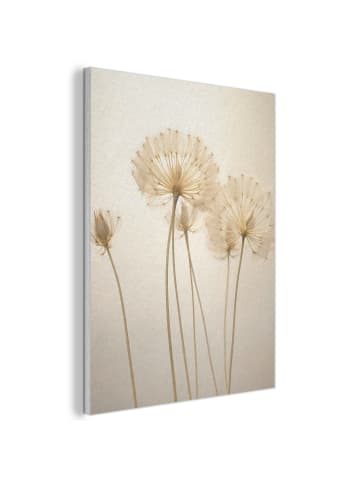 Akustibild Flaum