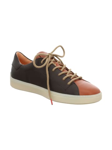 Sneakers Low TURNA HE. in Espresso/Kombi
