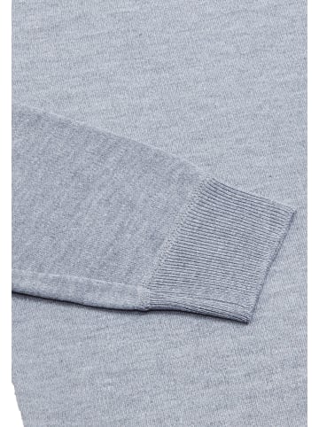 Herren Pullover in Hellgrau Melange