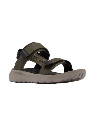 Klassische Sandale Peakfreak Roam Sandal in grün