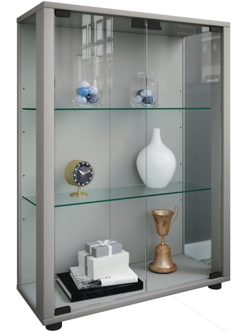 Holz Glas Stand Vitrine Sammelvitrine Sintalo in Silber