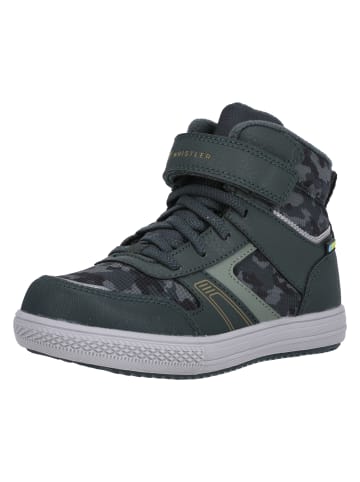 Sneaker Casou in 3065 Scarab