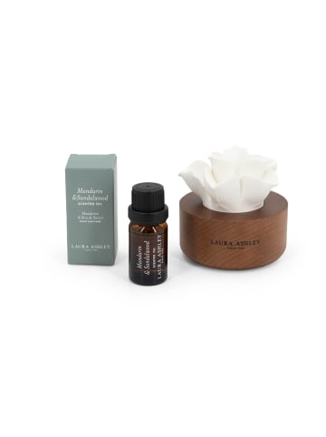 Duftblumen Laura Ashley - Mandarin & Sandalwood