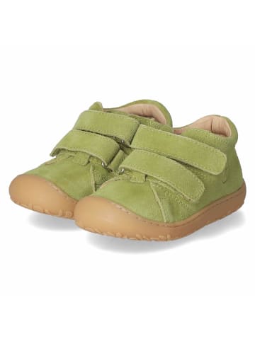 Klettschuhe HALE V in grün