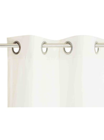 Blickdichter Ösenvorhang Dove Signature in Offwhite