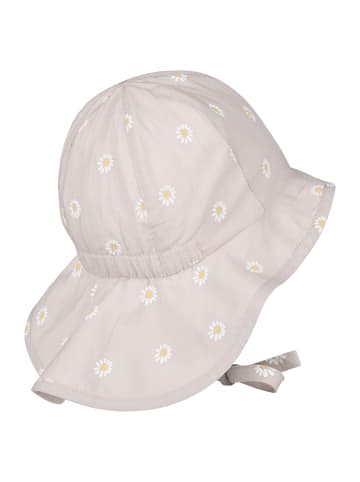 Sonnenhut Gänseblümchen in lichtgrau