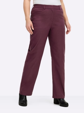 Bengalinhose in burgund