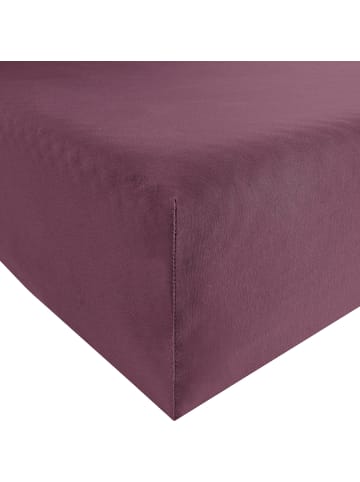 Single-Jersey Spannbettlaken Murnau in aubergine