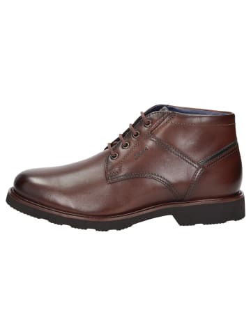 Stiefelette Dilip-718-H in braun