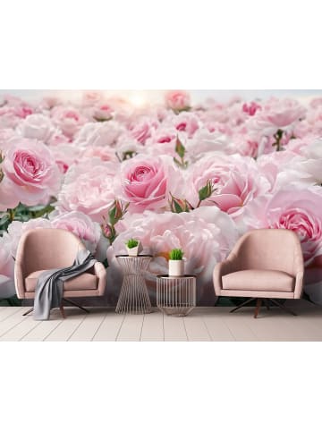 Fototapete Blumen in Rosa