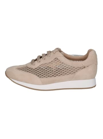 Sneaker Sand