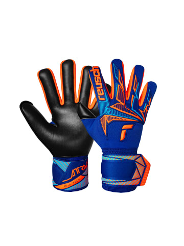 Torwarthandschuhe Attrakt Freegel Duo NC in 4127 sharp blu/shock orng/blck