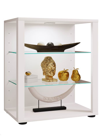 Holz Glas Stand Vitrine Sammelvitrine Glasol S in Weiß