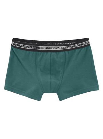 Boxer in blau / petrol / grau / bordeaux
