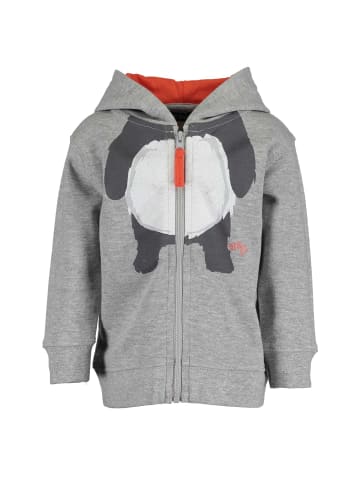 Jungen Sweatjacke Panda mit Kapuze in Grau
