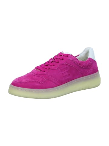 Sneaker Low in Pink