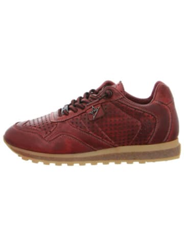 Sneaker für Herren in bordeaux