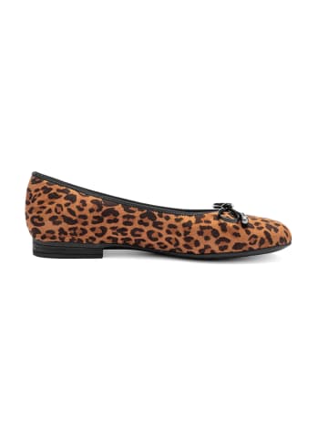 Ballerinas in Animal