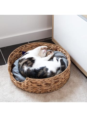 Haustierkorb rund natur Ø49cm kleiner Korb mit Kissen Hunde und Katzen in Grau