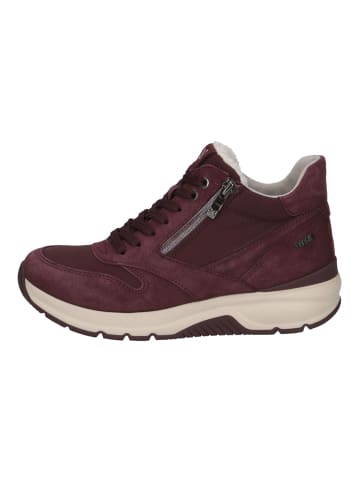 Sneaker Bordeaux