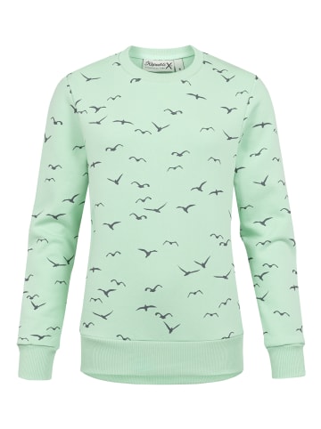 Pullover ANA in Mint